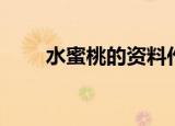 水蜜桃的资料作用（水蜜桃的资料）