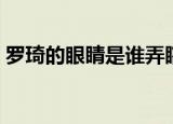 罗琦的眼睛是谁弄瞎的（罗琦眼睛怎么瞎的）