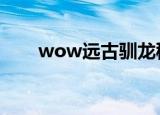 wow远古驯龙秘典（远古驯龙秘典）