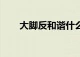 大脚反和谐什么意思（大脚 反和谐）