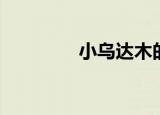小乌达木的故事（小乌达）