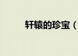 轩辕的珍宝（轩辕传奇天下奇珍）