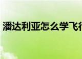 潘达利亚怎么学飞行（潘达利亚飞行在哪学）
