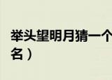 举头望明月猜一个城市（举头望明月打一城市名）