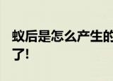 蚁后是怎么产生的?说出来不相信,看完涨知识了!