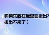 狗狗东西在我里面拔出不来了怎么回事（狗狗东西在我里面拔出不来了）