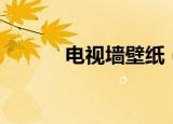 电视墙壁纸（电视背景墙壁纸）
