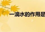 一滴水的作用是什么（一滴水的作用）
