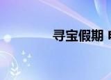 寻宝假期 电影（寻宝假期）