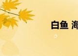 白鱼 海鱼（甜白鱼）