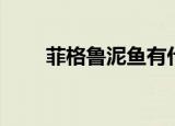 菲格鲁泥鱼有什么用（菲格鲁泥鱼）