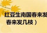 红豆生南国春来发几枝作者是谁（红豆生南国 春来发几枝）