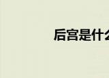 后宫是什么歌（后宫歌曲）