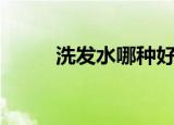 洗发水哪种好（哪种洗发水好用）
