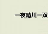 一夜晴川一双桨悠然（一夜晴qq）