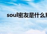 soul密友是什么意思（密友是什么意思）