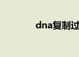dna复制过程（dna复制人）
