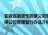 安徽省融资性担保公司管理暂行办法（关于安徽省融资性担保公司管理暂行办法介绍）
