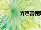 弄芭蕾视频教程（弄芭蕾）
