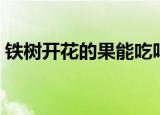 铁树开花的果能吃吗（铁树开花结果能吃吗）