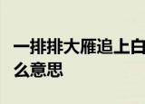 一排排大雁追上白云撒下一阵阵叮咛叮咛是什么意思