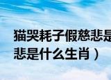 猫哭耗子假慈悲是什么生肖?（猫哭耗子假慈悲是什么生肖）
