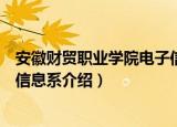 安徽财贸职业学院电子信息系（关于安徽财贸职业学院电子信息系介绍）