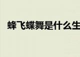 蜂飞蝶舞是什么生肖（蜂蝶代表什么生肖）