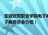 安徽财贸职业学院电子商务协会（关于安徽财贸职业学院电子商务协会介绍）