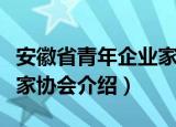 安徽省青年企业家协会（关于安徽省青年企业家协会介绍）