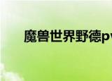 魔兽世界野德pvp宏（魔兽世界野德）