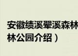 安徽绩溪翚溪森林公园（关于安徽绩溪翚溪森林公园介绍）