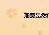 翔意昂然什么意思（翔意）