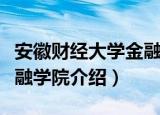 安徽财经大学金融学院（关于安徽财经大学金融学院介绍）