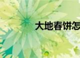 大地春饼怎么样（大地春饼）