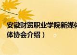 安徽财贸职业学院新媒体协会（关于安徽财贸职业学院新媒体协会介绍）