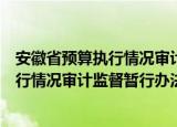 安徽省预算执行情况审计监督暂行办法（关于安徽省预算执行情况审计监督暂行办法介绍）