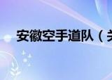 安徽空手道队（关于安徽空手道队介绍）
