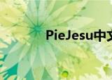 PieJesu中文意思（pie jesu）
