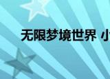 无限梦境世界 小说（无限之梦幻现实）