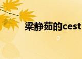 梁静茹的cest la via这歌什么意思