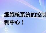 细胞核系统的控制中心视频（细胞核系统的控制中心）
