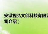 安徽视弘文创科技有限公司（关于安徽视弘文创科技有限公司介绍）