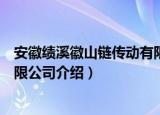 安徽绩溪徽山链传动有限公司（关于安徽绩溪徽山链传动有限公司介绍）