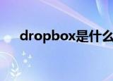 dropbox是什么车（dropbox是什么）
