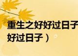 重生之好好过日子大红袍百度网盘（重生之好好过日子）