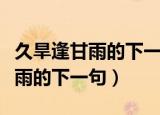 久旱逢甘雨的下一句应该是什么呢（久旱逢甘雨的下一句）