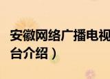 安徽网络广播电视台（关于安徽网络广播电视台介绍）