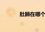 肚腩在哪个位置图片（肚腩）
