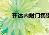 齐达内射门集锦 断句（齐达内射门）
